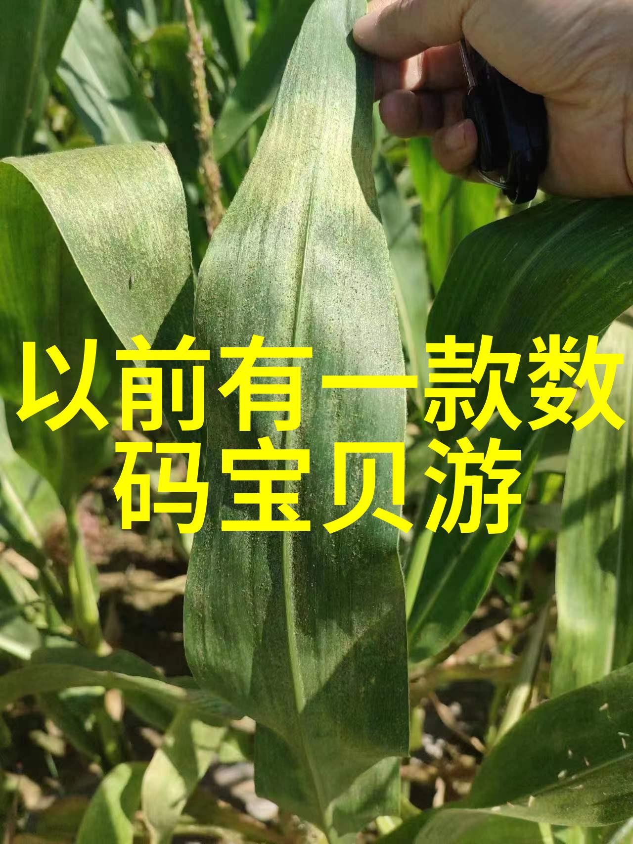 神秘品牌揭晓蛋白纯化仪的奇幻之旅