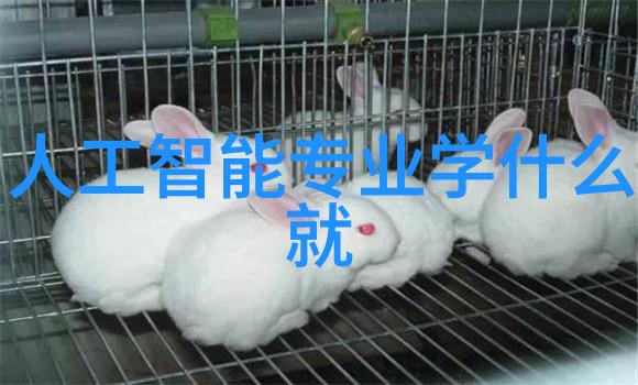 我来告诉你咱们聊聊这个填料网到底是个啥