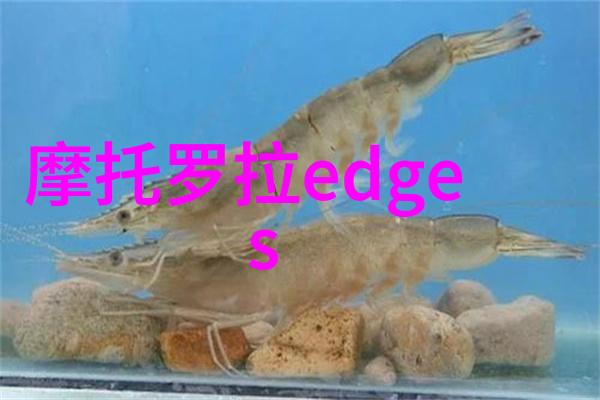 自助翻新从拆除旧制品到搭建现代卫生间