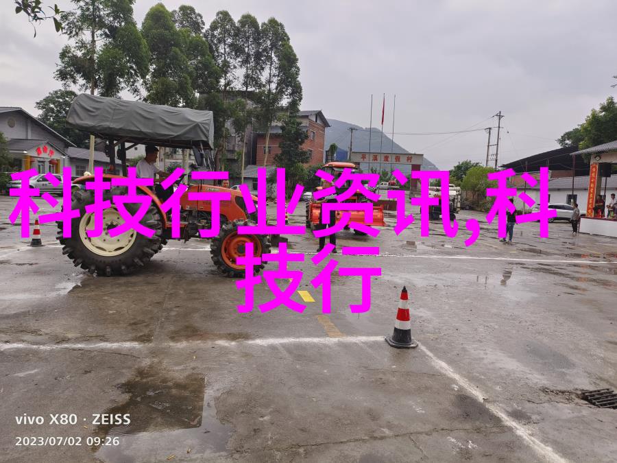 皇家宠妃的秘密世界揭秘第一皇妃的传奇故事