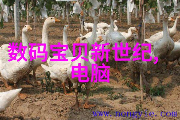 反应器革命固定床技术的无限可能