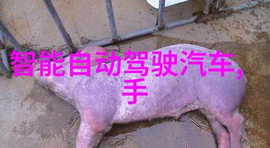 上海防疫消毒公司专业的新冠病毒清洁与消杀服务提供者