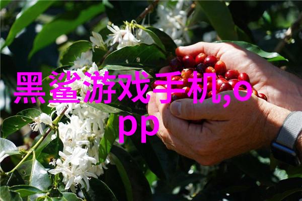 农村净水新希望小型设备大效益