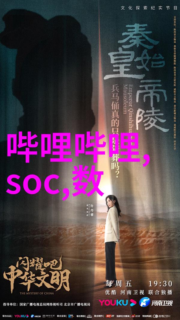 粘土泥石分离机之谜如何揭开其运作的神秘面纱
