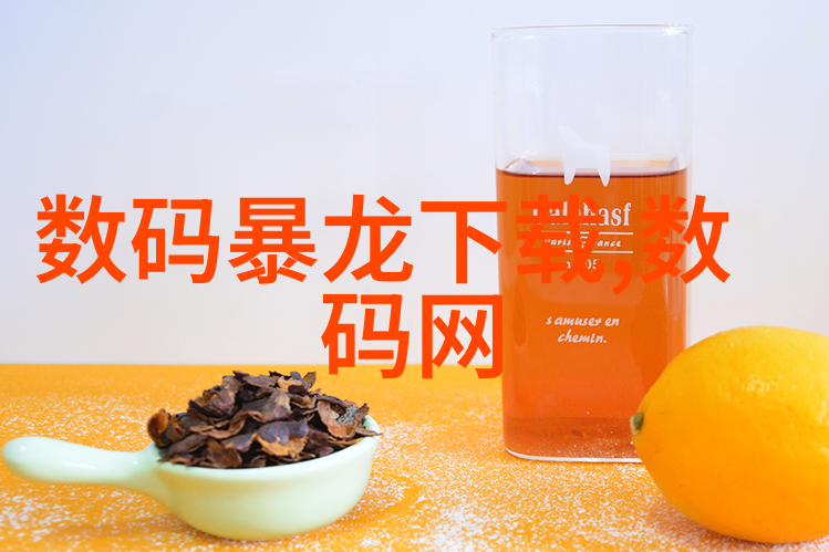 工业吸尘器大型-高效清洁解决方案大型工业吸尘器的应用与优势