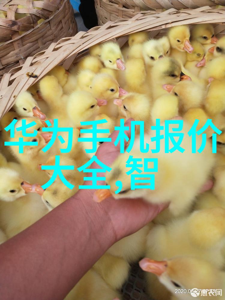 探索完美居所如何在附近找到理想的室内装修公司