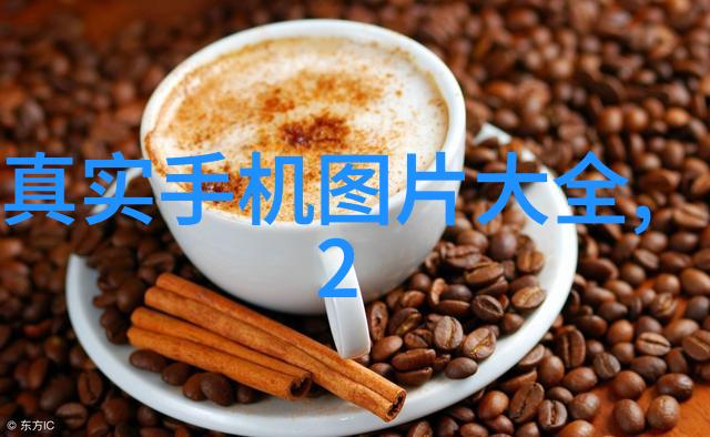 机械心脏的包裹