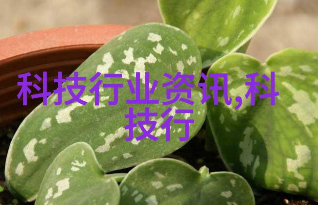 反应与反映语言表达的微妙差异