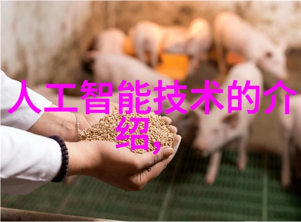 建筑工程实习报告实地考察与技能应用