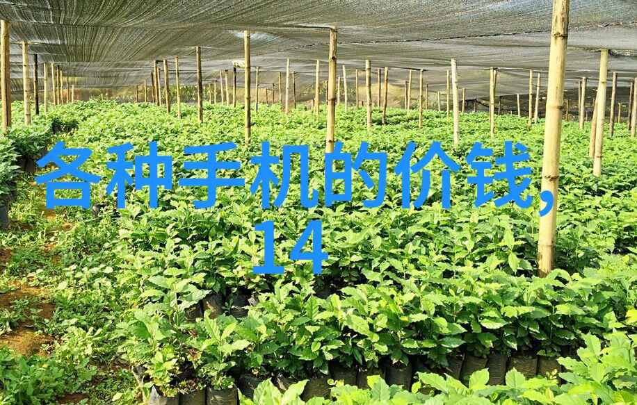 不锈钢填料的多重用途探索其在工业与日常生活中的应用
