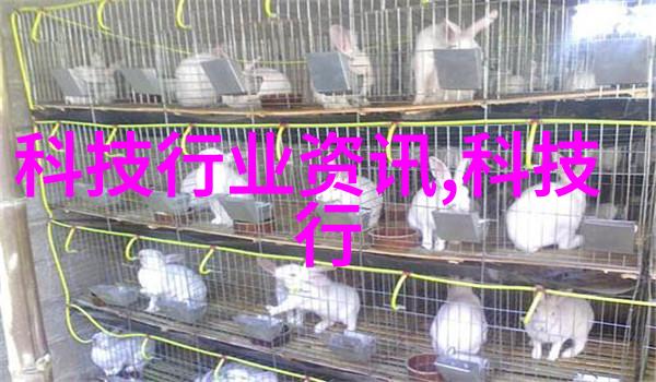 高效稳固的建筑助手扣件式脚手架的应用与优势