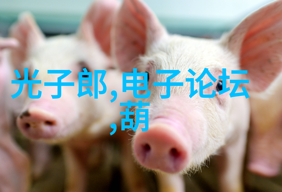 1. 什么是丝网填料的分块技术