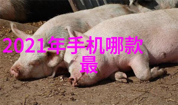 纯净之源实验室水景的织梦者