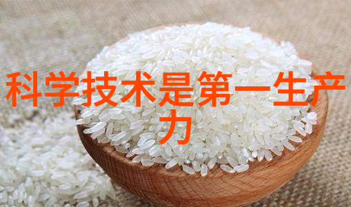 机械之心胶囊剂的秘密世界