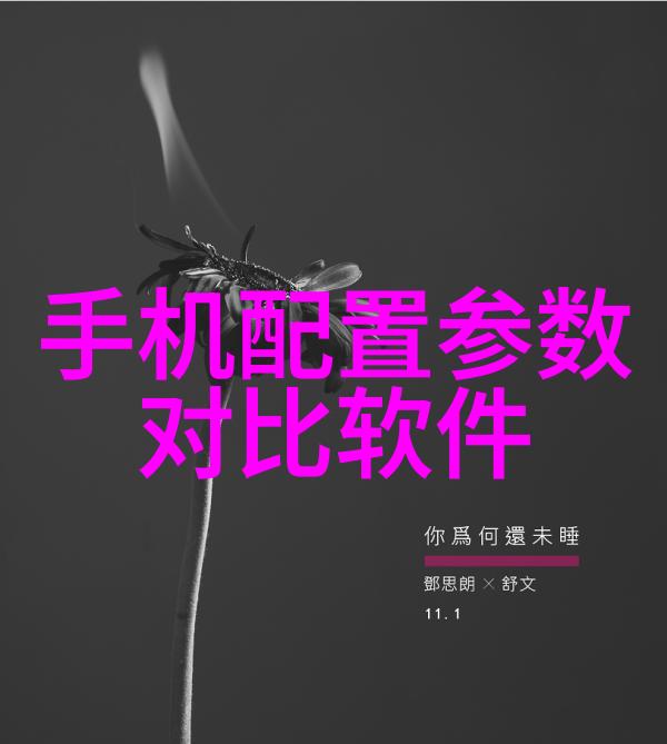 高性能不锈steel固体活性物质高效催化剂制作方法