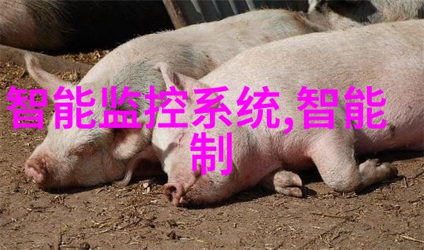 冰封时刻冷库制冷设备的奇迹与挑战