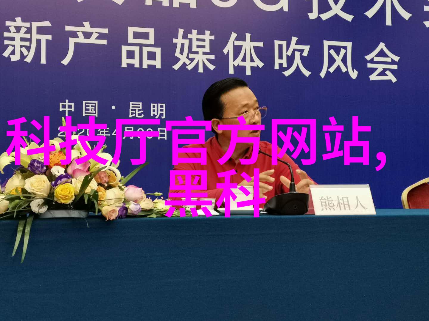 江山为聘的龙椅h87我坐在这把看似普通的椅子上却仿佛感受到了古老帝王的权威与重量