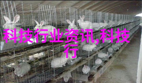 寻找避风港探索最靠近我的汽配城