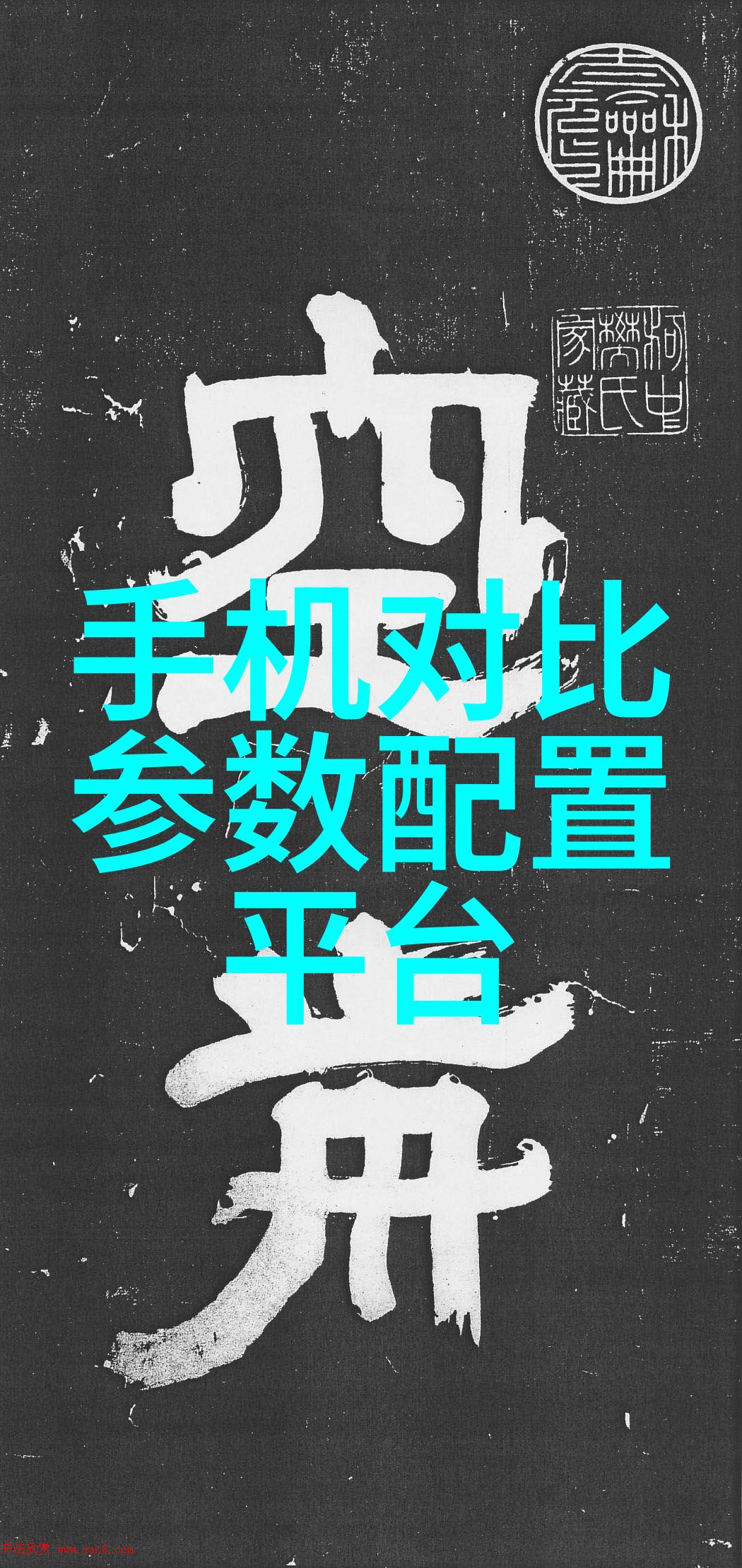 海鲜盛宴一段让人垂涎的扇贝吃法教学视频