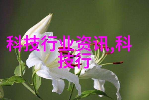 家居美学卧室装修图解析设计理念与实用技巧