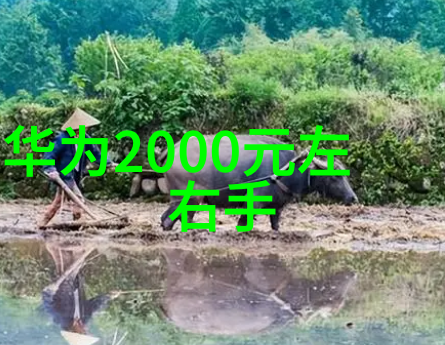 分离器的设备代号解密工厂内部的数字秘密