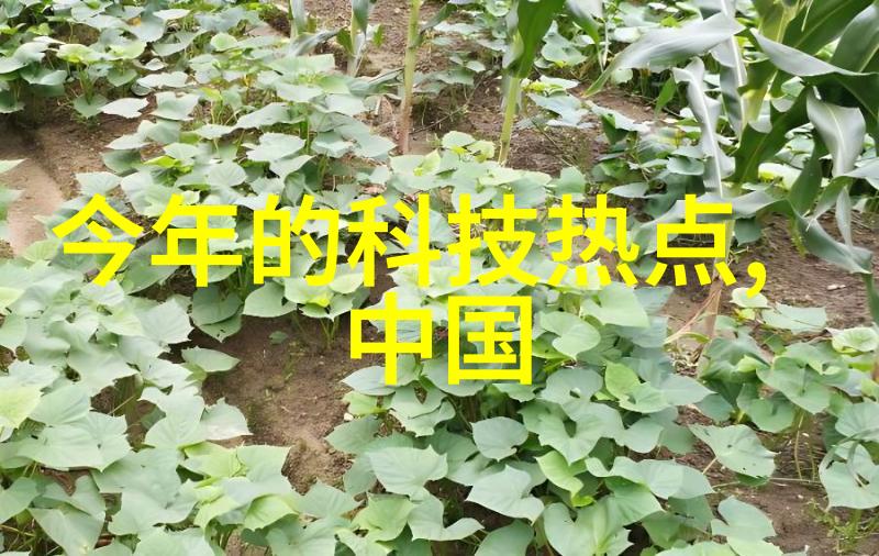 卫生间小天地专注于每一寸空间的美学与实用