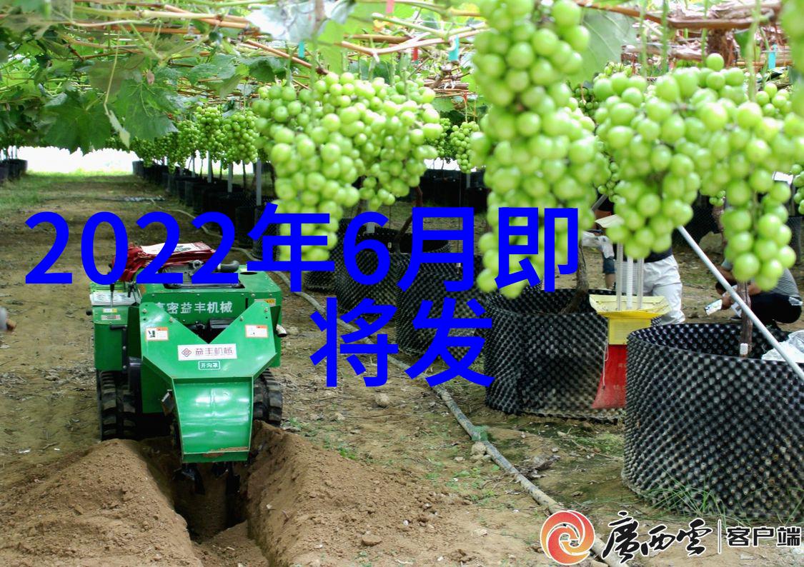 全自动立式高压灭菌锅厨房卫生安全的最佳选择