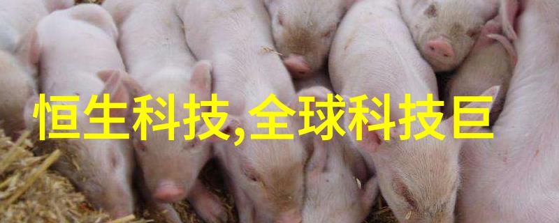 填料网的奥秘探究其作用与应用