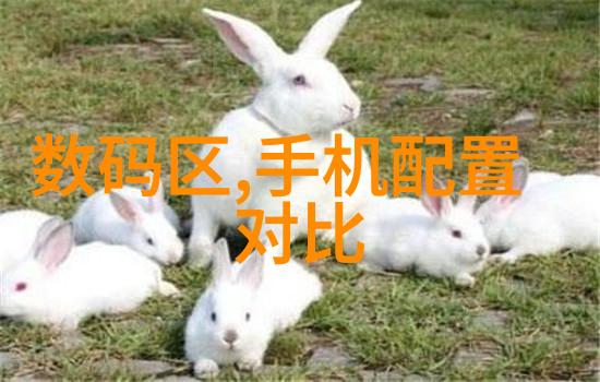 中国化工机械设备大全中哪些型号最受欢迎
