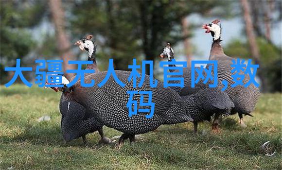 技术革新与产品升级pe管件全新料生产厂家的战略布局