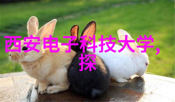 园艺艺术与家居美学的巧妙融合打造梦幻庭院空间