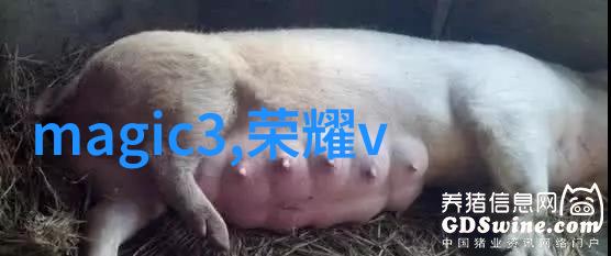 市场风云货到人手的日常舞台