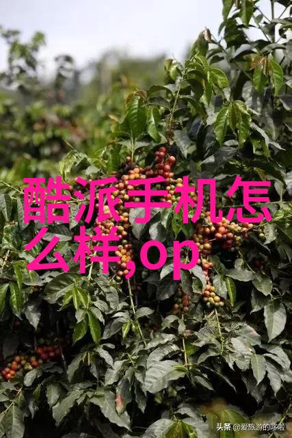 炙热与冰冷高温瞬时灭菌设备的双面人生