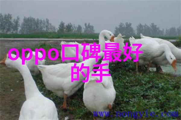 进口氧化氢灭菌器-清洁新纪元进口氧化氢灭菌器在医疗领域的应用与优势探究