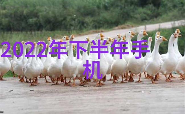 我来告诉你110水管价格怎么算