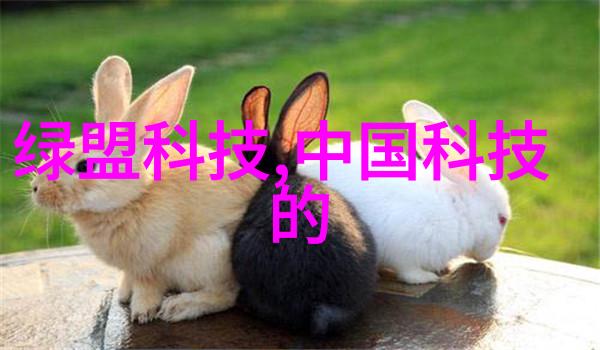 苏州大学应用技术学院如何促进学生参与社会实践和企业合作项目