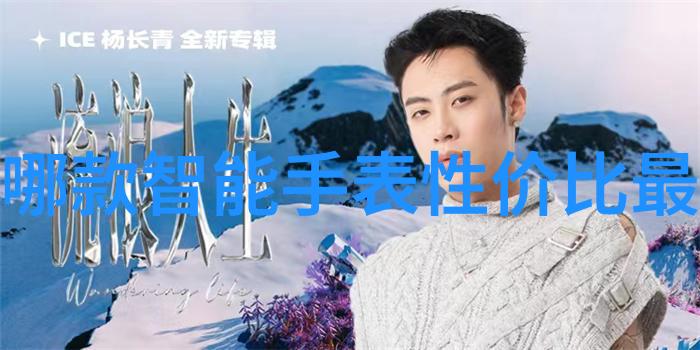 工业用天然气燃烧机高效能节能装置