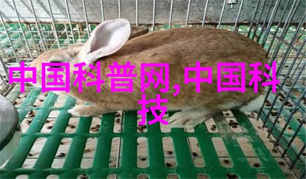 鄂州百度云中的瓜果盛宴文件 瓜.zip解密