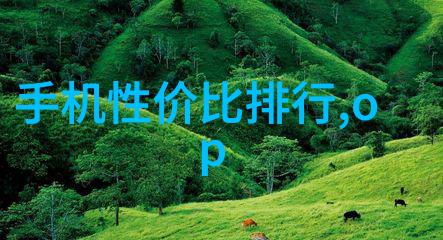 灵魂的沉默缓刑与人性的复苏