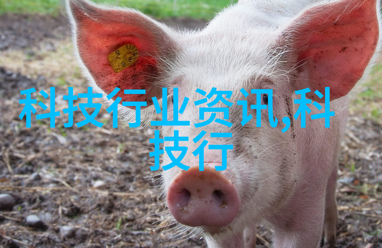 甜蜜的约定女人迈开腿让男生品尝草莓的故事