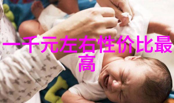 不锈钢陶瓷填料光影中的坚韧守护者