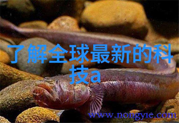 横河电机发布STARDOM基于网络的控制系统新模块探讨嵌入式培训在物品智能化升级中的实用性