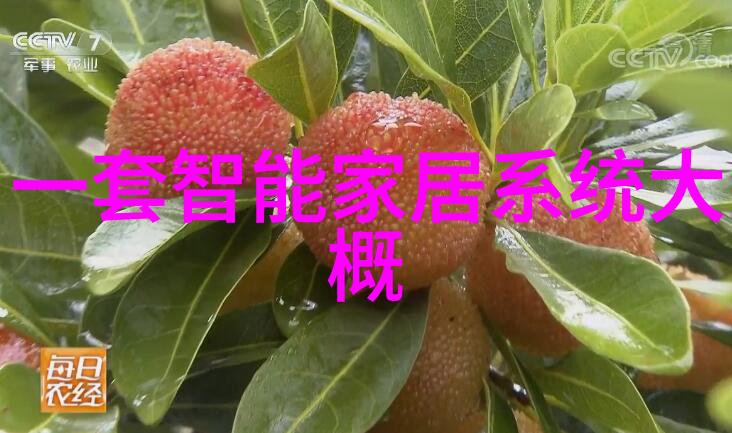 电子世界的核心揭秘芯片的神秘面纱