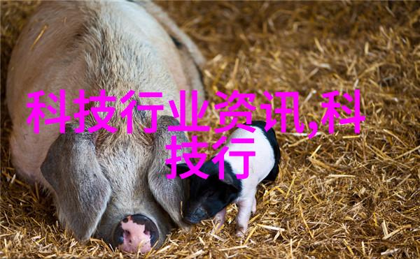 探索电工电子实验室设备的未来发展趋势