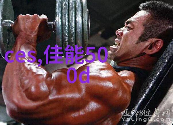 国家标准下的丝网艺术精准填料的新纪元