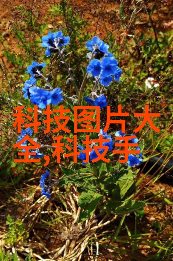 2023当贝618战报发布轻薄激光投影第一当贝X5斩获新品销量王数码之家无线监控系统让家庭生活更便捷