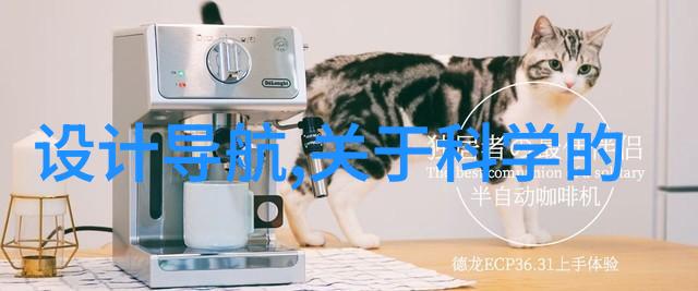 不锈钢输送机-精密传送不锈钢输送机在现代工业中的应用与优势