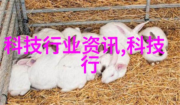 天津智能交通违章我是怎么被高科技抓个现行的