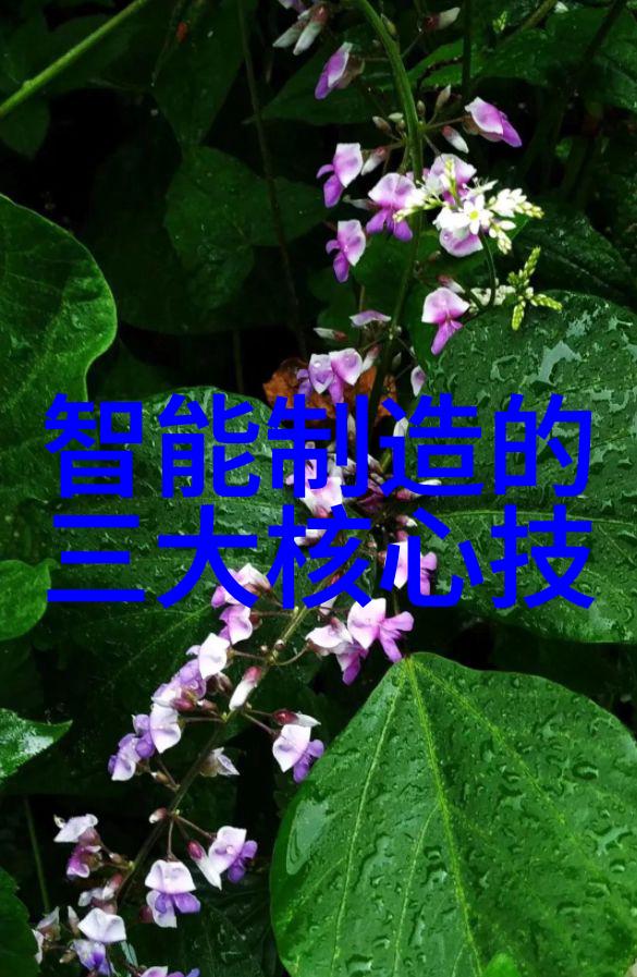 颗粒剂机械技术与应用概述粉碎混合与包装的关键设备