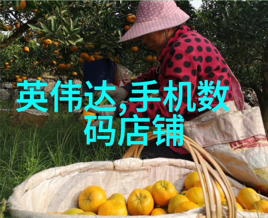 电机与加工设备-三相电多功能粉碎机高效率的物料破碎解决方案